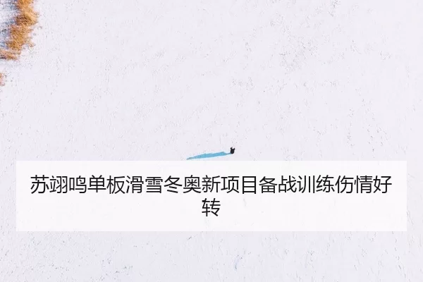 su-yi-ming-dan-ban-hua-xue-dong-ao-xin-xiang-mu-bei-zhan-xun-lian-shang-qing-hao-zhuan-2-408.jpg