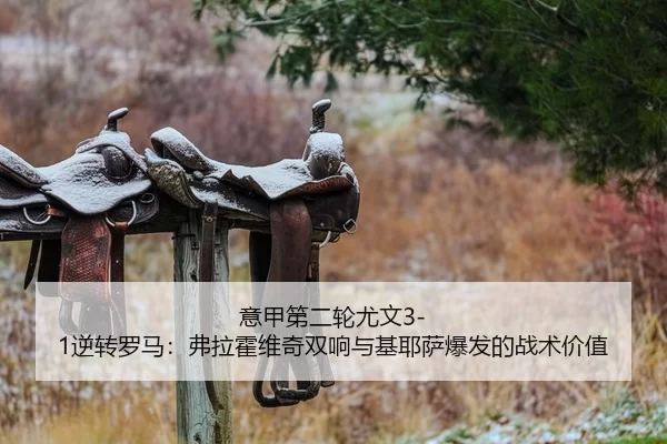 yi-jia-di-er-lun-you-wen-ni-zhuan-luo-ma-fu-la-huo-wei-qi-shuang-xiang-yu-ji-ye-sa-bao-fa-de-zhan-shu-jia-zhi-1-574.jpg
